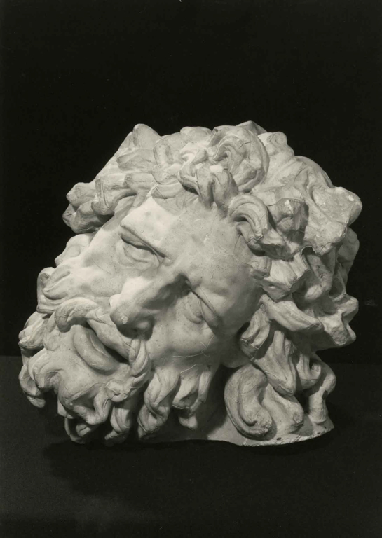Tête du Laocoon, 19e siècle