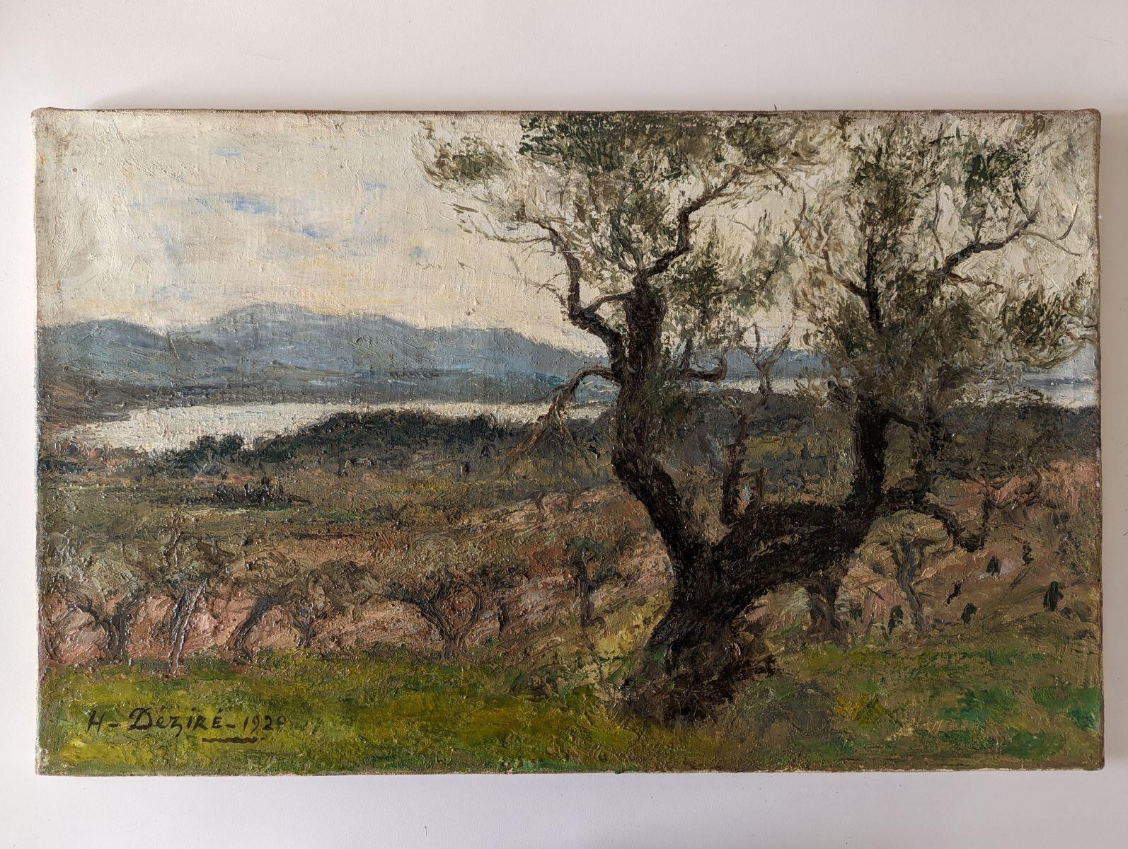 Paysage méridional aux oliviers, Henri Dezire, 1929