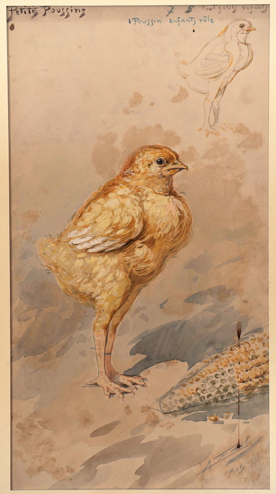 PETIT POUSSIN, Alfredo Edel, 1908 achevé en