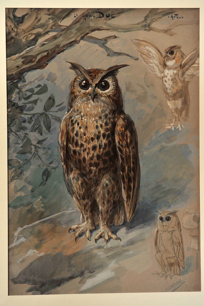 Le Grand Duc, Alfredo Edel, 1908 achevé en