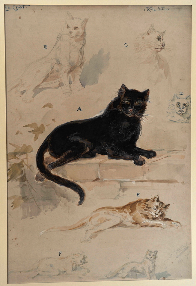 Le chat, Alfredo Edel, 1908 achevé en