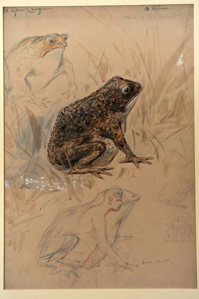 Le grand crapaud, Alfredo Edel, 1908 achevé en