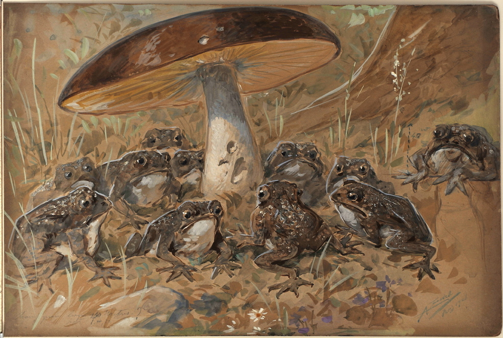 Assemblée de crapauds, Alfredo Edel, 1908 achevé en
