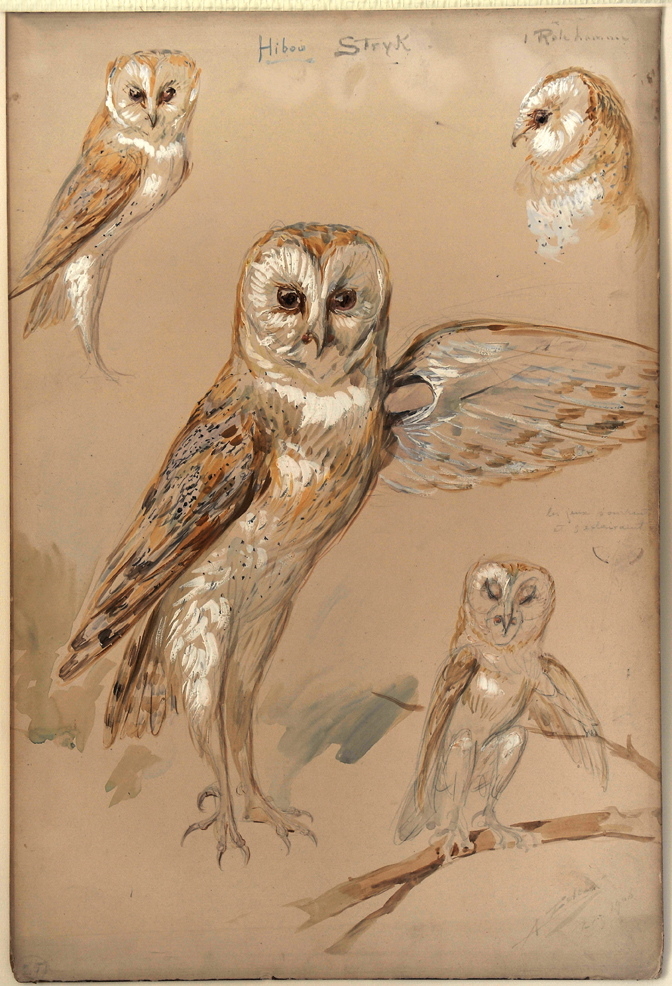 Nocture Hibou Stryk, Alfredo Edel, 1908 achevé en