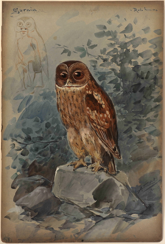 Nocturne Surnia, Alfredo Edel, 1908 achevé en