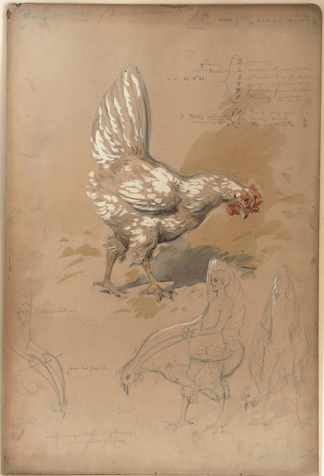 Poules picotantes, Alfredo Edel, 1908 achevé en