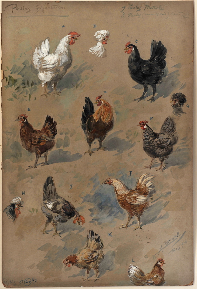 Poules figuration, Alfredo Edel, 1908 achevé en