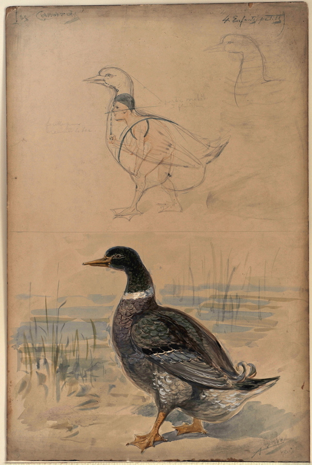 Canards, Alfredo Edel, 1908 achevé en