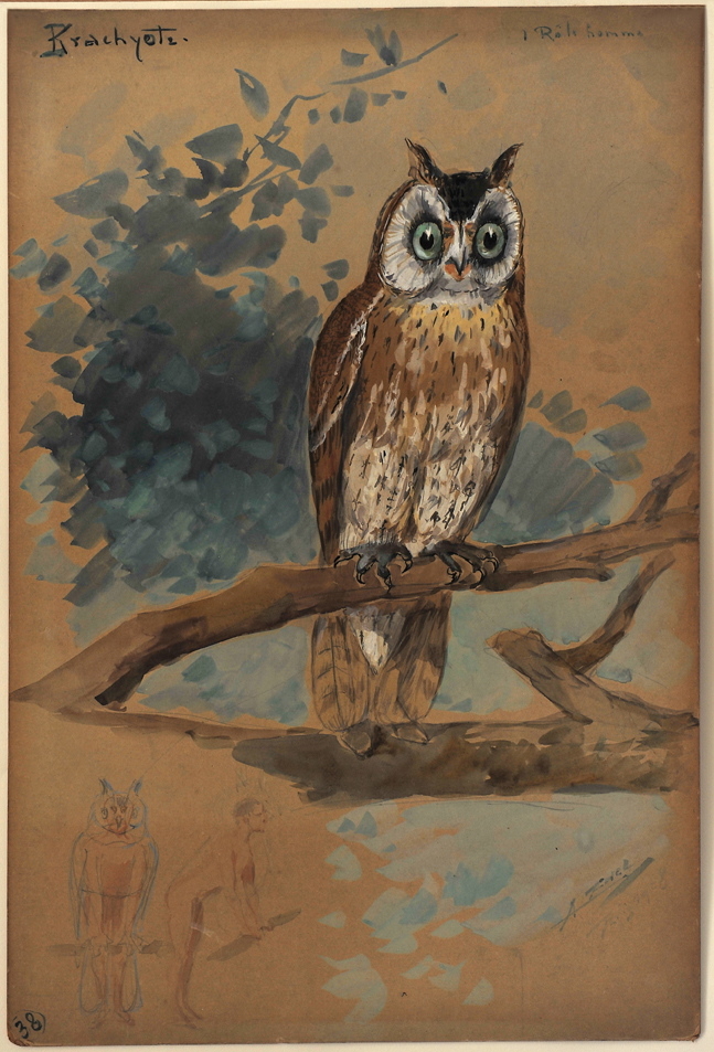 Nocture krachyote, Alfredo Edel, 1908 achevé en