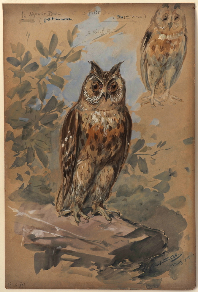 Nocture Le Moyen Duc et le le Petit Duc, Alfredo Edel, 1908 achevé en