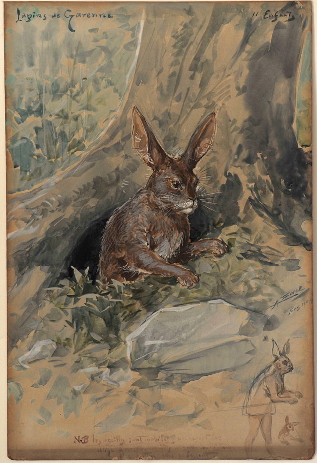 Lapins de garenne, Alfredo Edel, 1908 achevé en
