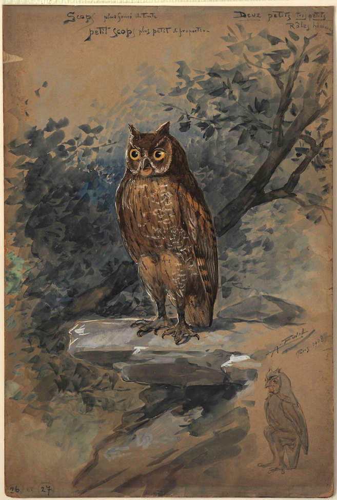Nocturne Scop, Alfredo Edel, 1908 achevé en