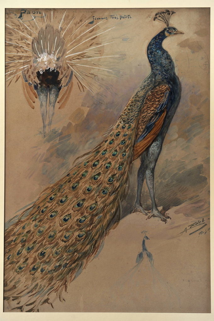 Paon, Alfredo Edel, 1908