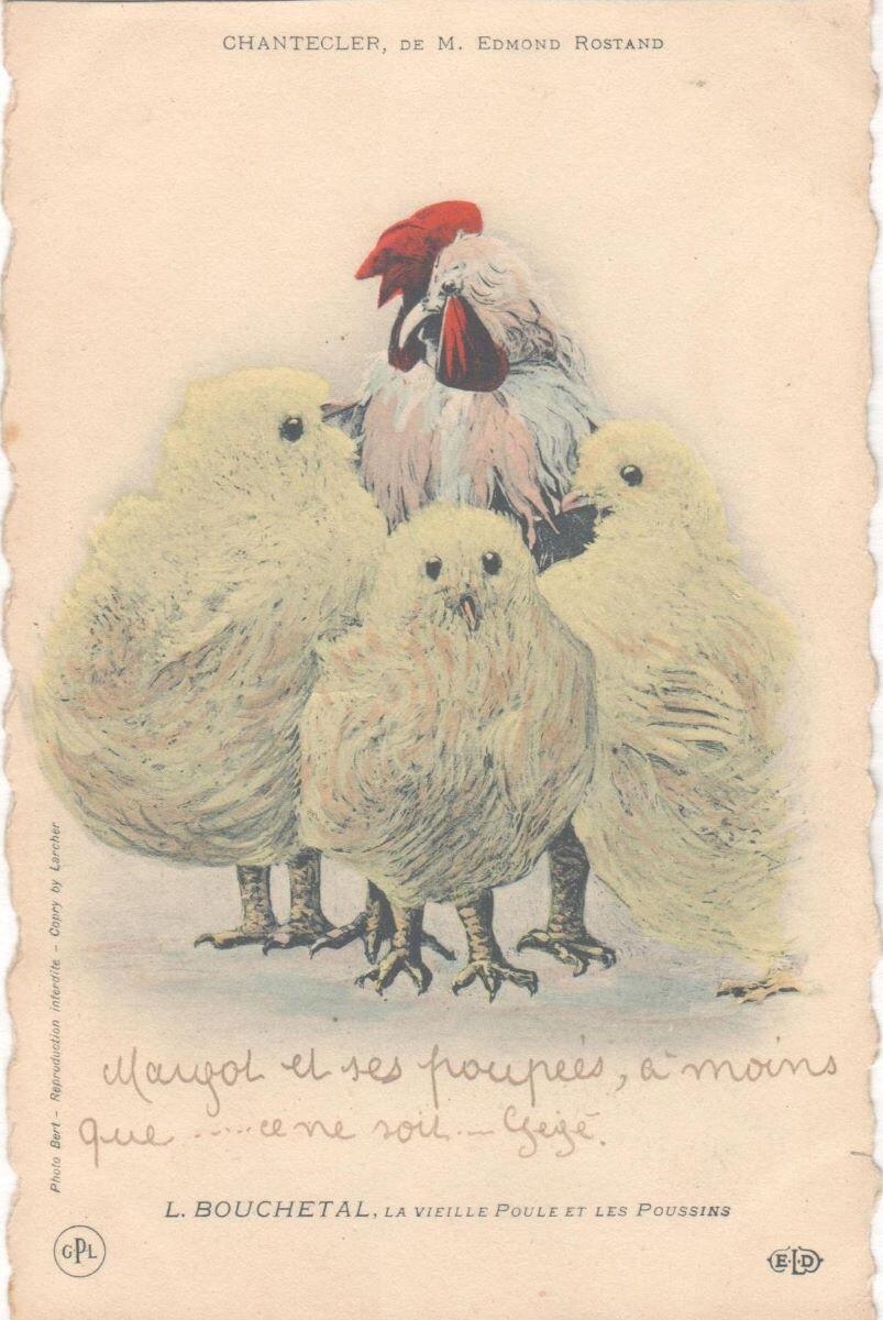 Chantecler de M. Edmond Rostand. L. Bouchetal La vieille poule et les poussins_0