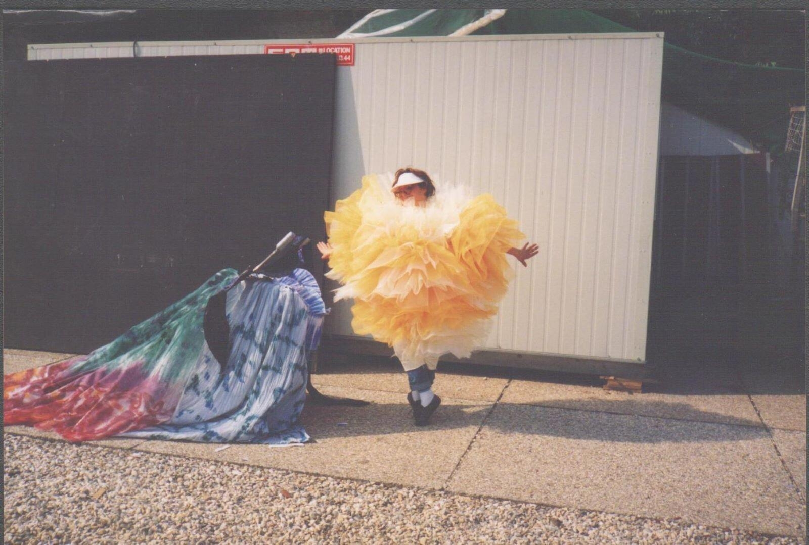 Chantecler : costumes Daniel Ogier, Daniel Ogier, 1992