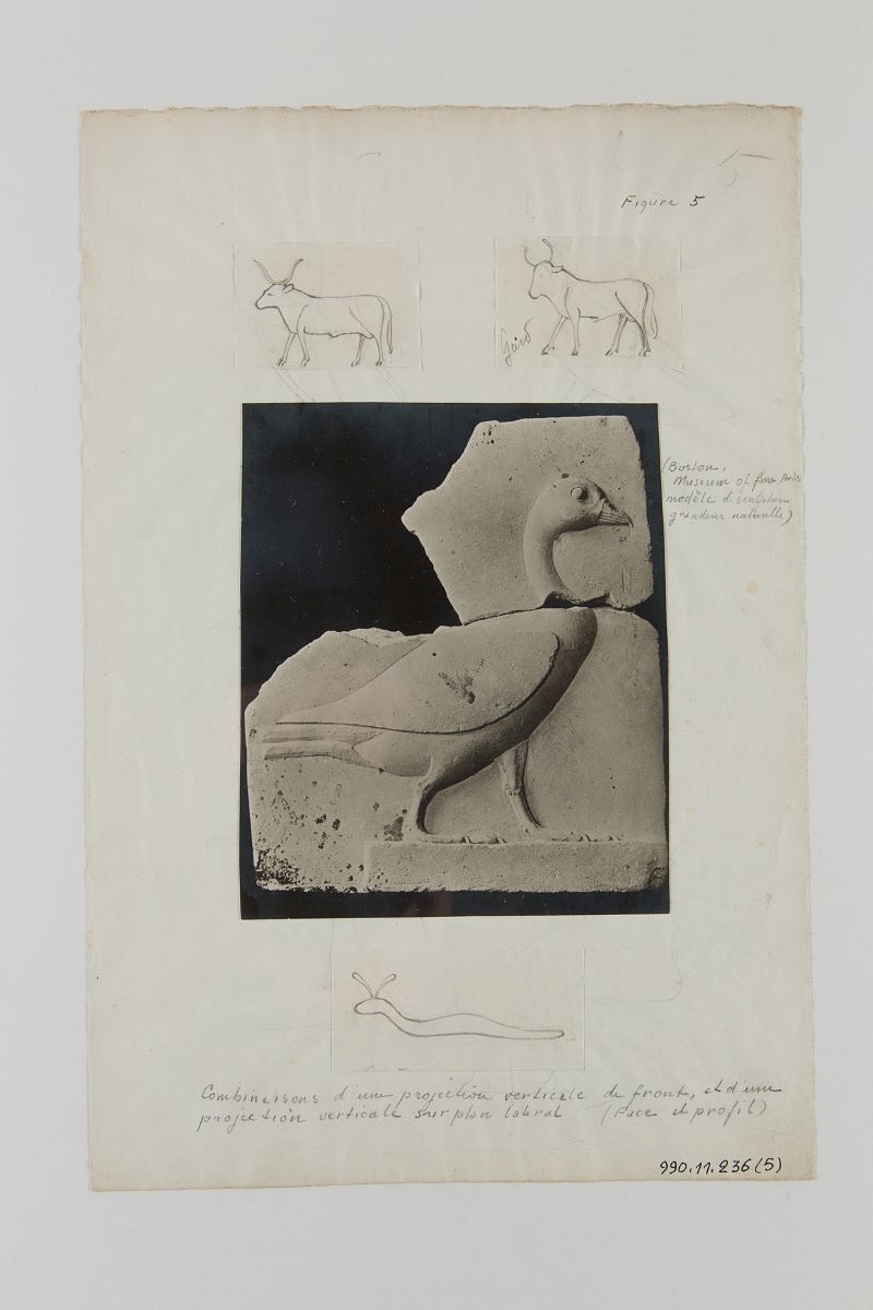 Animaux (titre factice), Marcelle Baud, 20e siècle
