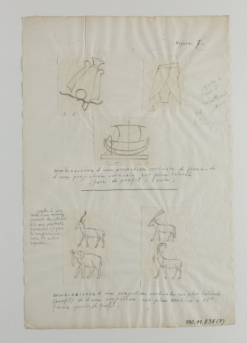 Animaux et objets (titre factice), Marcelle Baud, 20e siècle