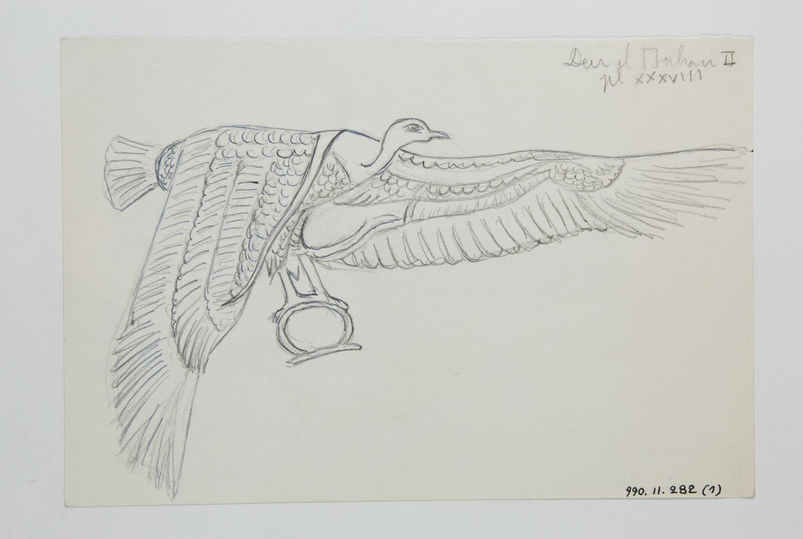 Le vautour de la Haute-Egypte (titre factice), Marcelle Baud, 20e siècle