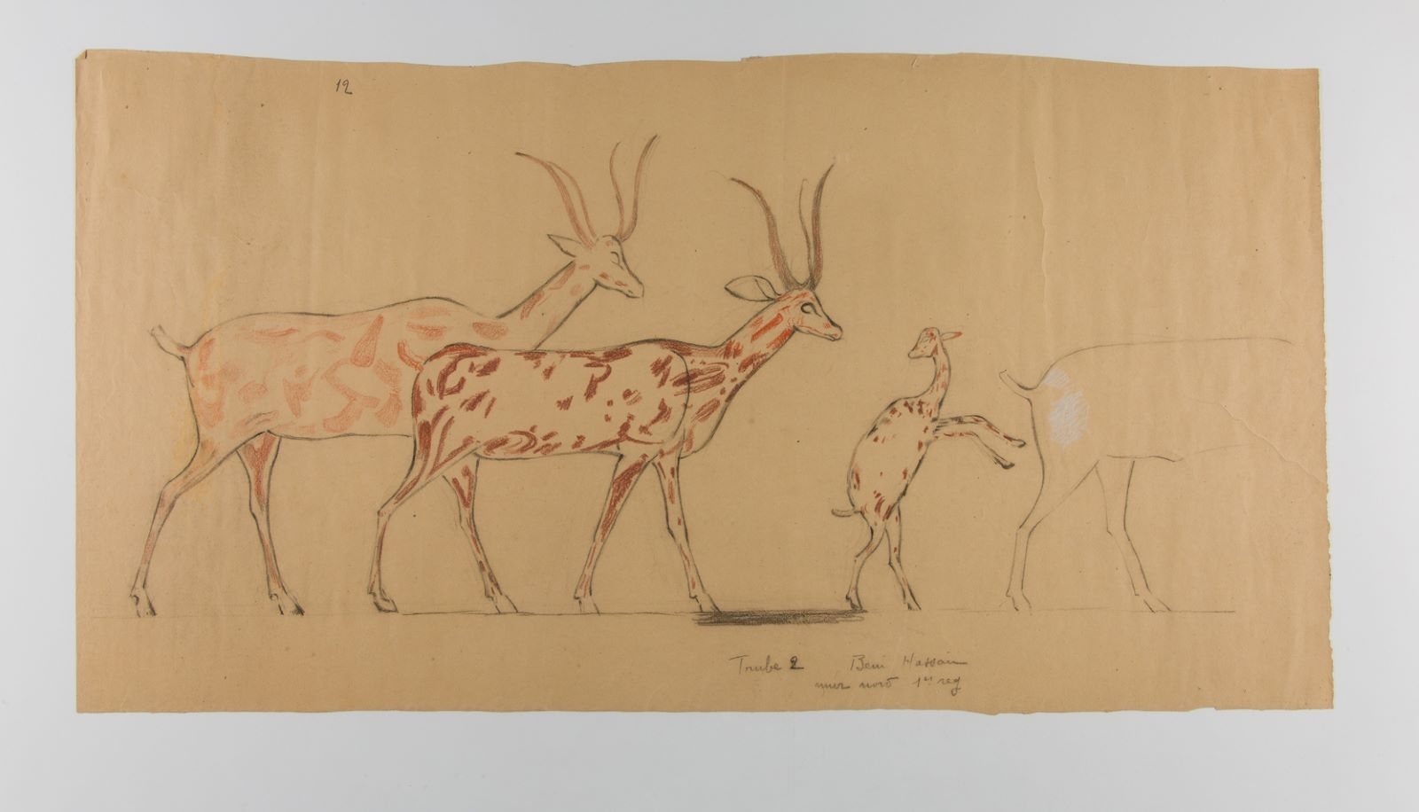 Gazelles de la tombe de Amenemhet ou Ameny (titre factice), Marcelle Baud, 20e siècle