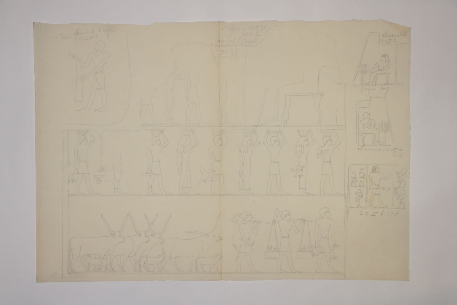 Décor de la tombe de Tjenti (titre factice), Marcelle Baud, 20e siècle
