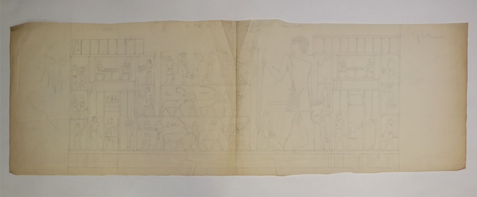 Décor de la tombe de Seshathetep Heti (titre factice), Marcelle Baud, 20e siècle
