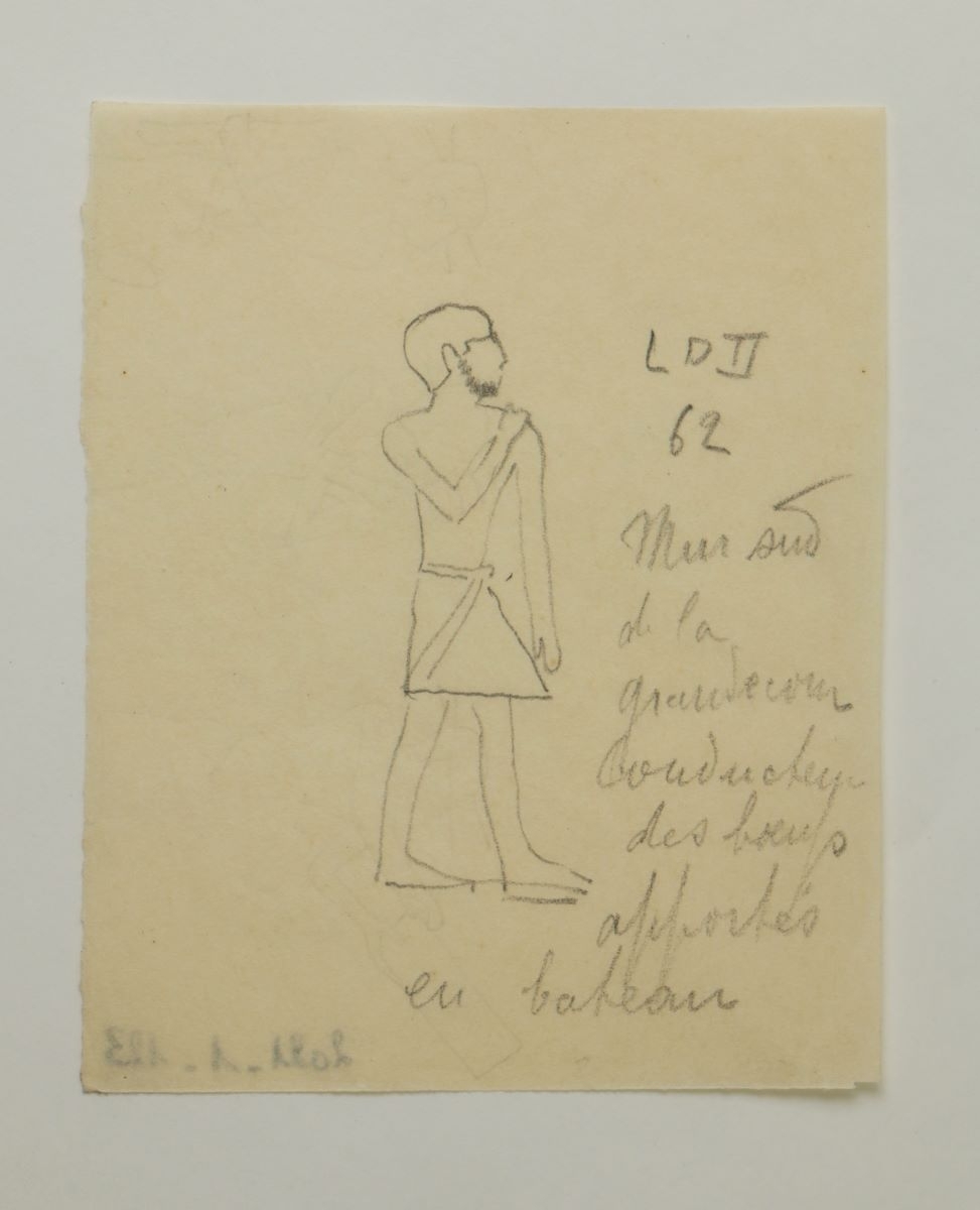 Décor de la tombe de Rashepses (titre factice), Marcelle Baud, 20e siècle
