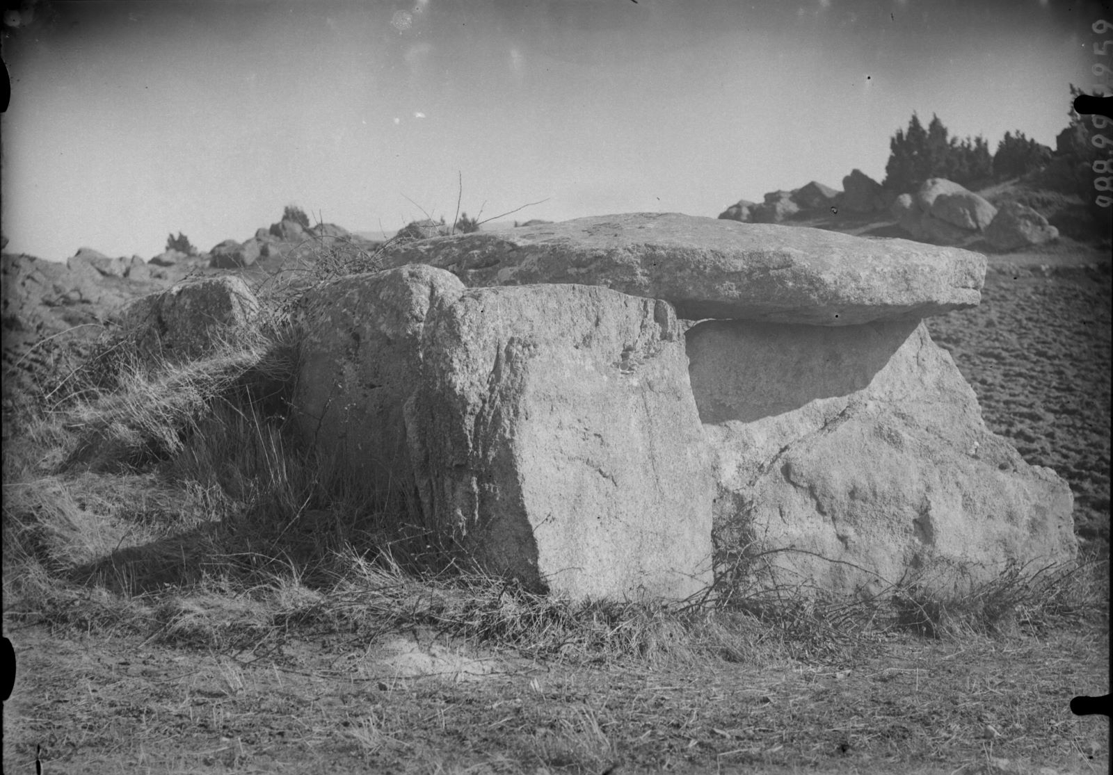 Dolmen de Saint Nectaire le Bas (titre factice)_0