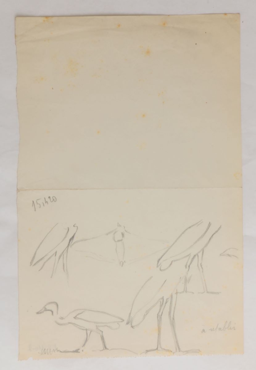 Oiseaux (titre factice), Marcelle Baud, 20e siècle