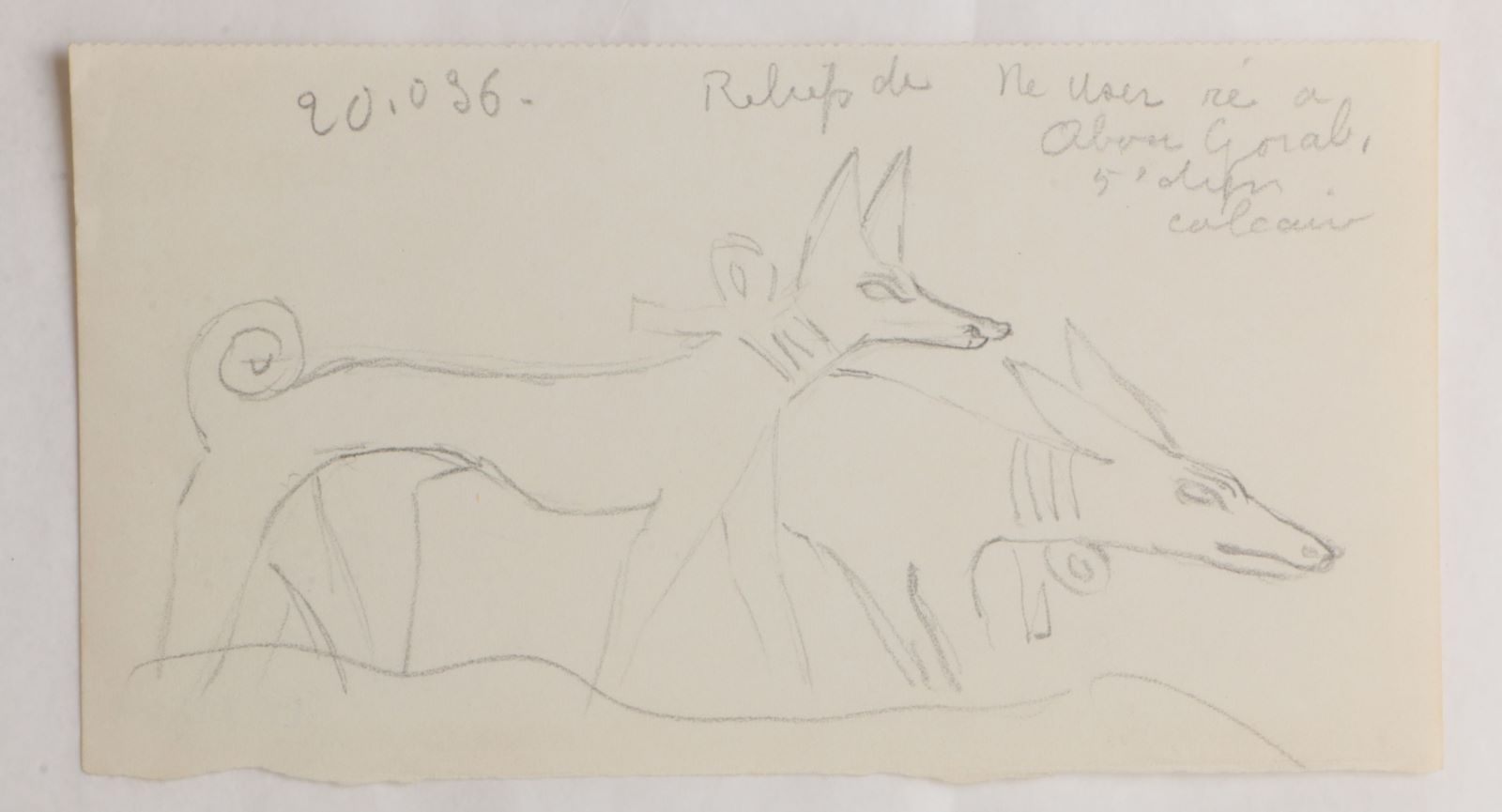 Chiens (titre factice), Marcelle Baud, 20e siècle
