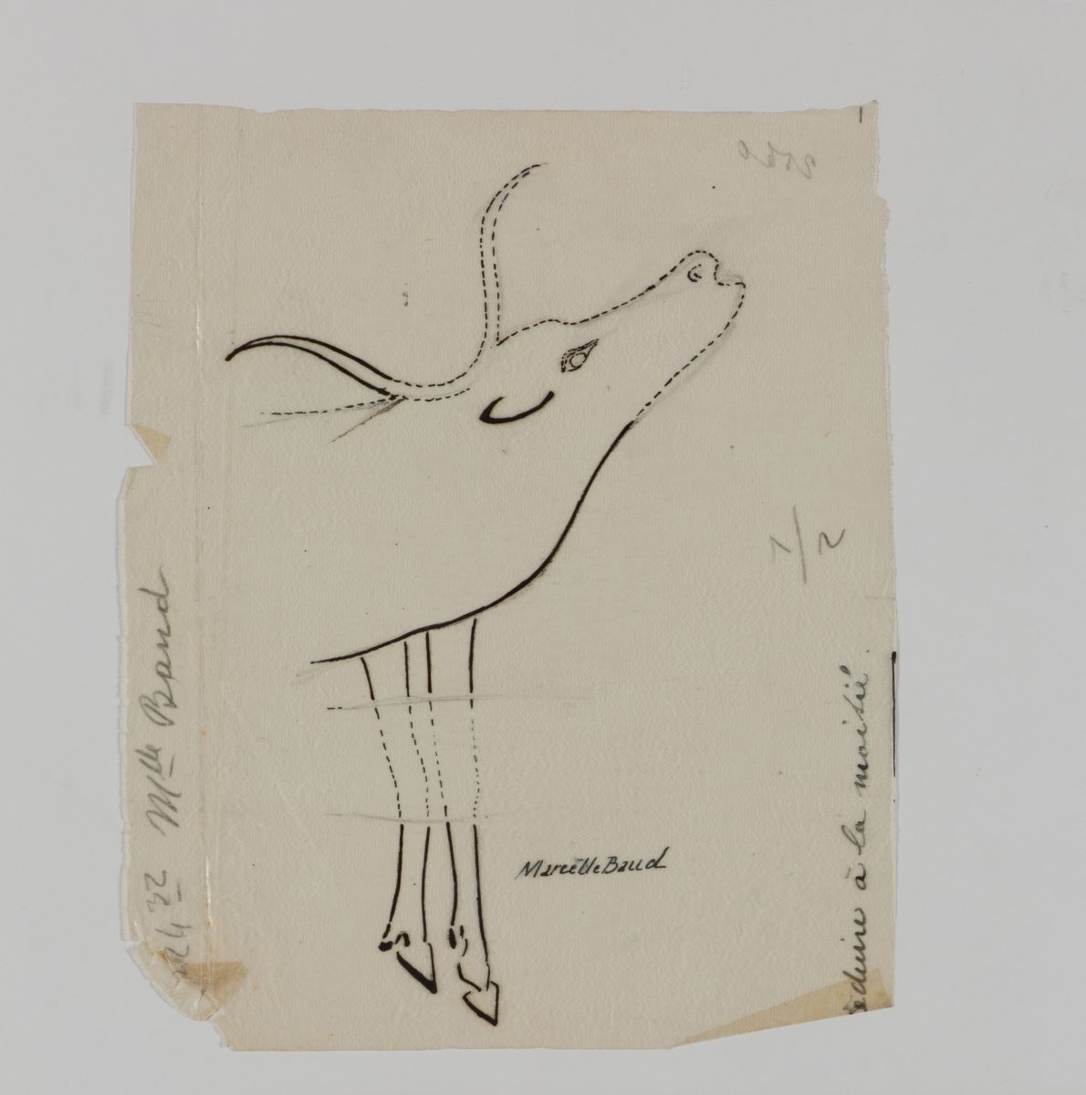 Ebauche de vache (titre factice), Marcelle Baud, 1921-1926