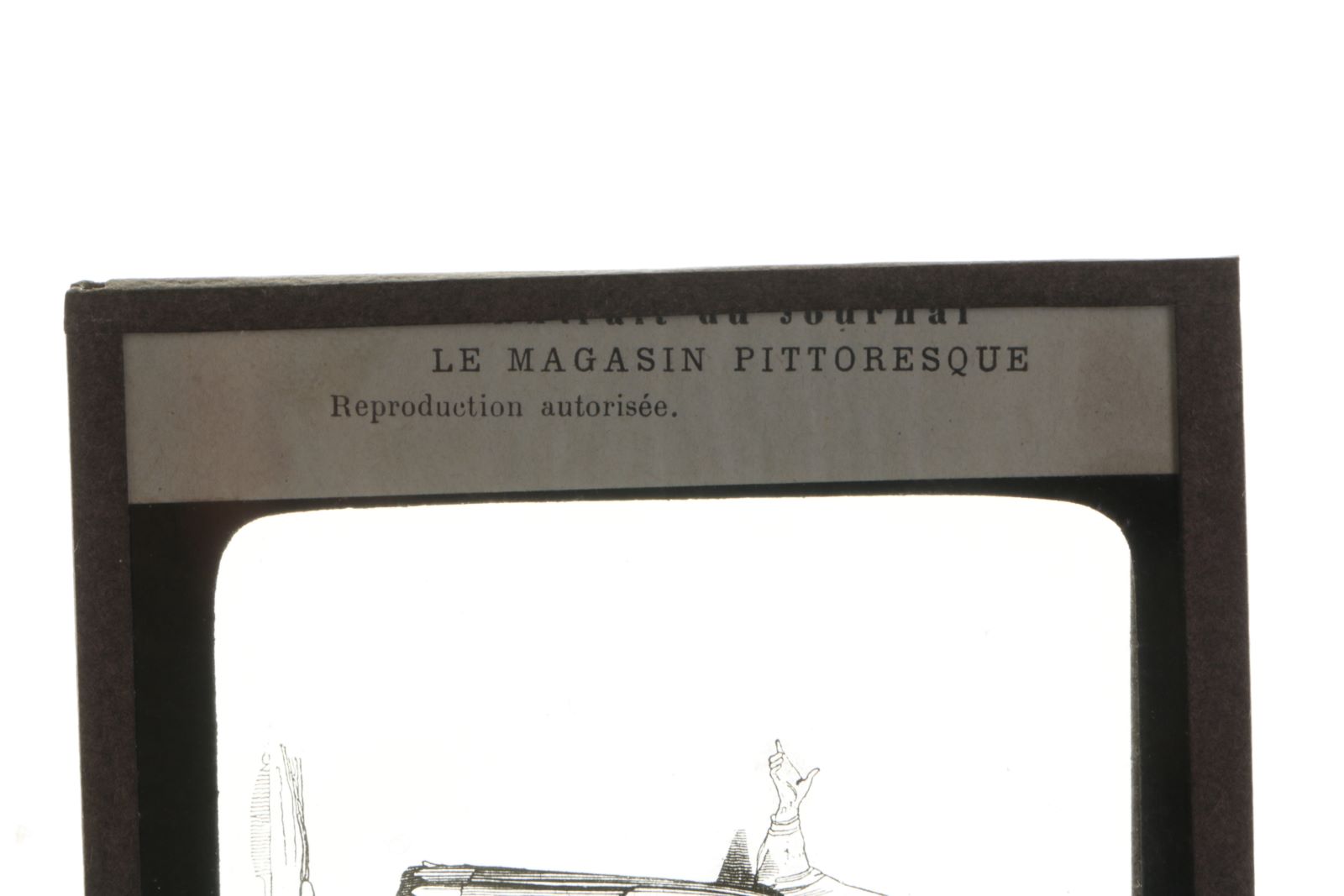 Femme gauloise (titre inscrit)_4