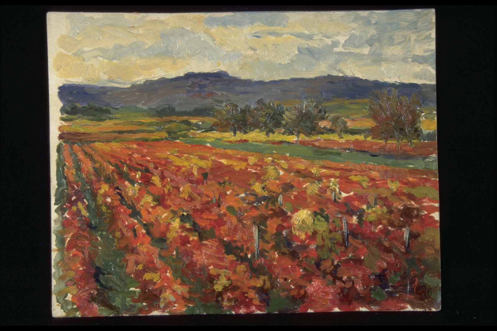 Vignes en automne le soir, Morey (titre inscrit, au verso), Jean François, 1954