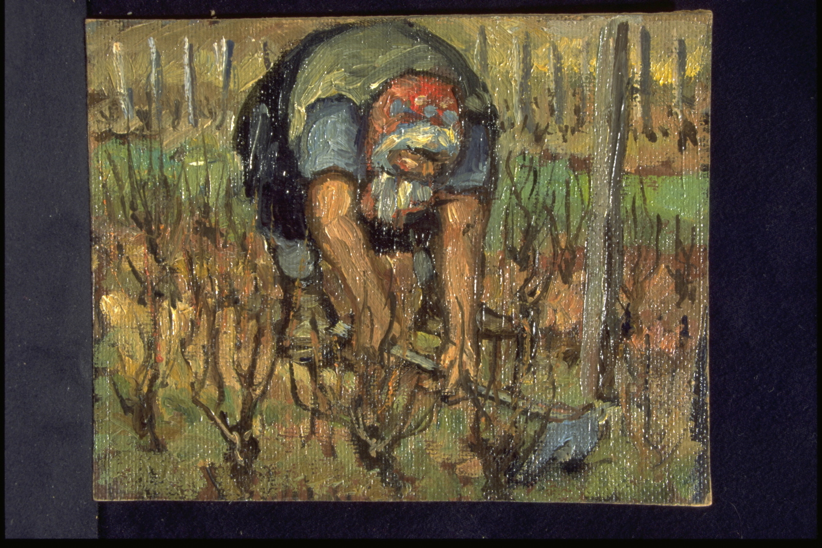 Hiver travaux, taille de mars à Marsannay (titre inscrit, au verso), Jean François