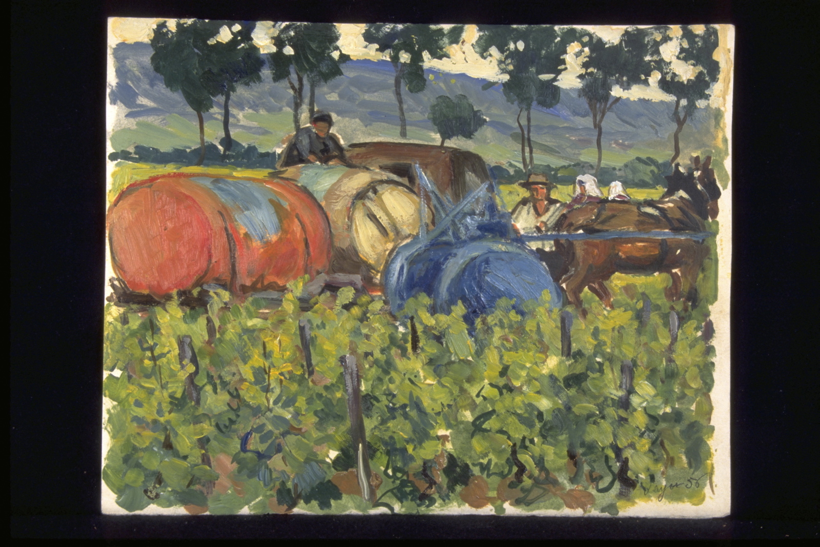 Eté, Tonneaux à sulfate entre Vougeot et Morey (titre inscrit, au verso), Jean François, 1956