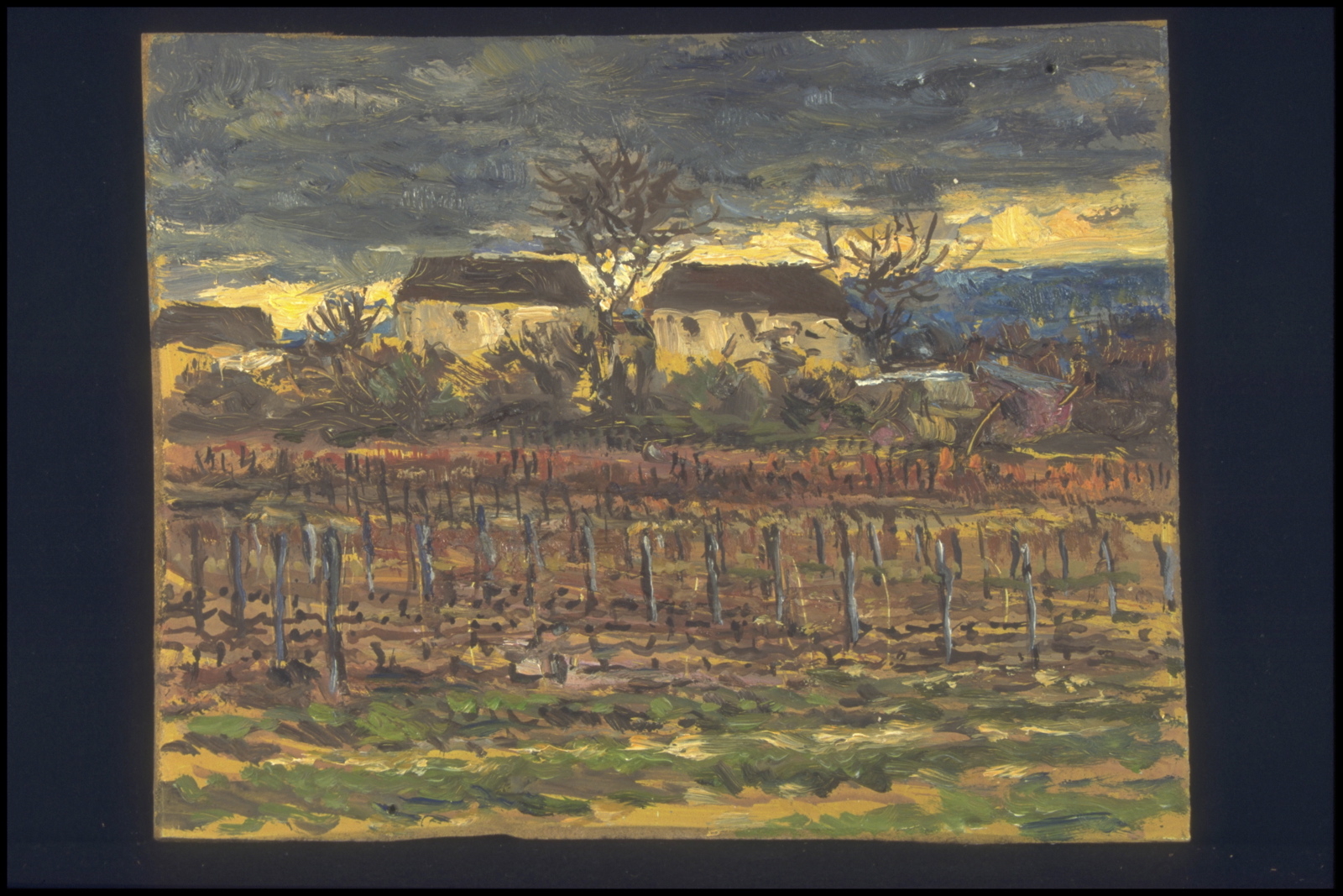 Vignes au soleil couchant, Marsannay la Côte (titre inscrit, au verso)_0