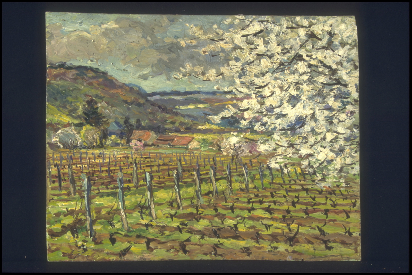 Printemps entre Chenôve et Marsannay (titre inscrit, au verso), Jean François