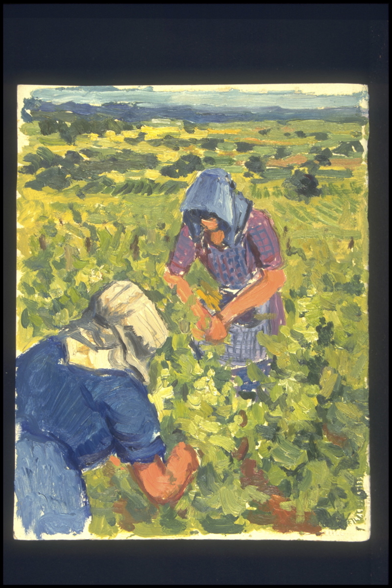 Eté, Ebourgeonnement et accolage vers Fixey (titre inscrit, au verso), Jean François, 1954
