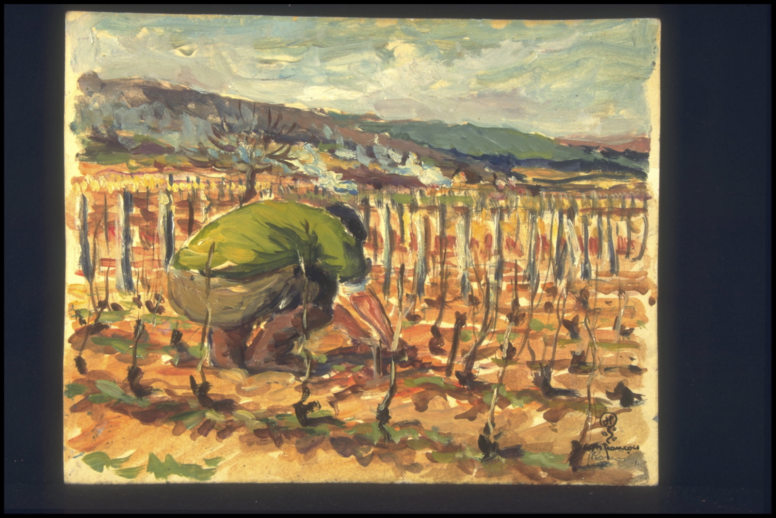 Printemps, Remplacement de ceps manquants (titre inscrit, au verso), Jean François, 1958