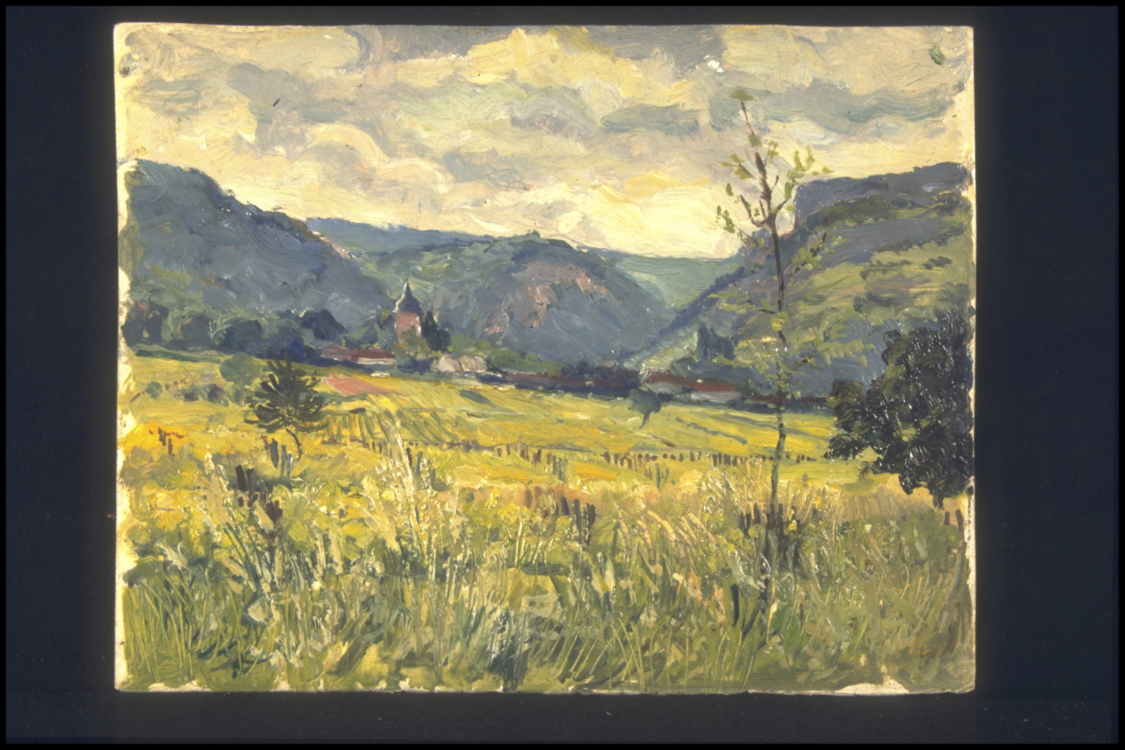 Vignes en été à Chambolle Musigny (titre inscrit, au verso), Jean François, 1959