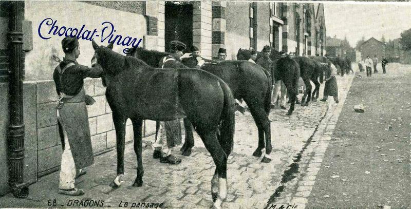68- DRAGONS - Le pansage (titre inscrit)_0