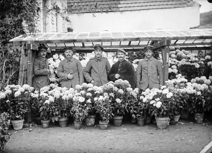 5 militaires (ou prisonniers allemands ?) derrière des pots de chrysanthèmes (titre usuel), Jules Misserey, 1er quart 20e siècle