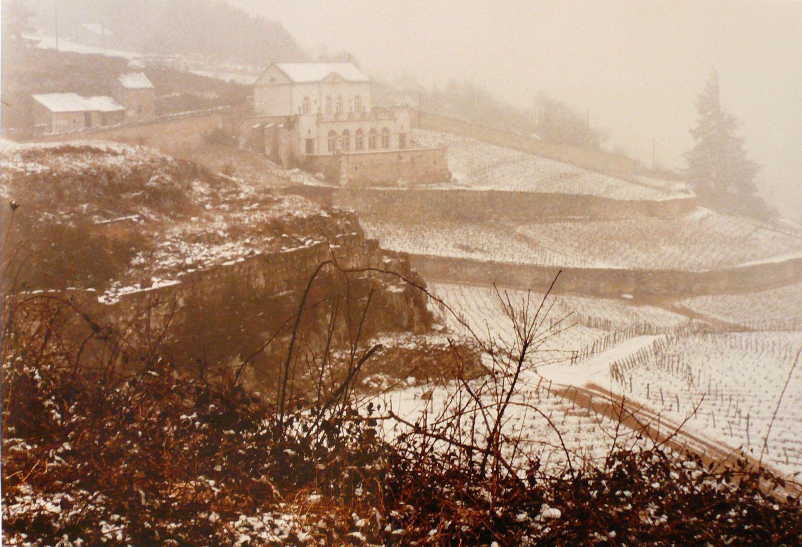 Le Château gris sous la neige, Georges Stevignon