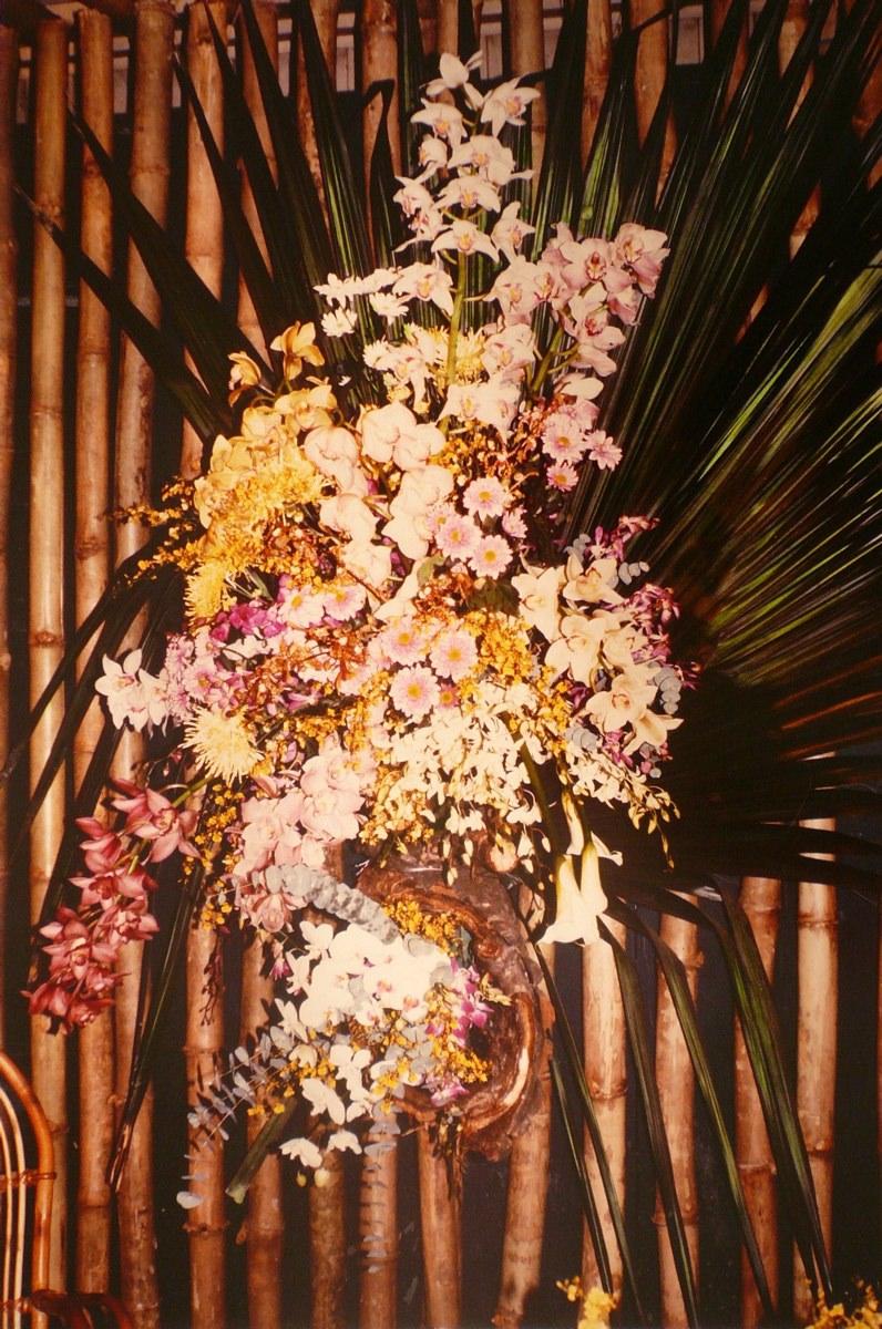 Orchidées et autres fleurs, Georges Stevignon