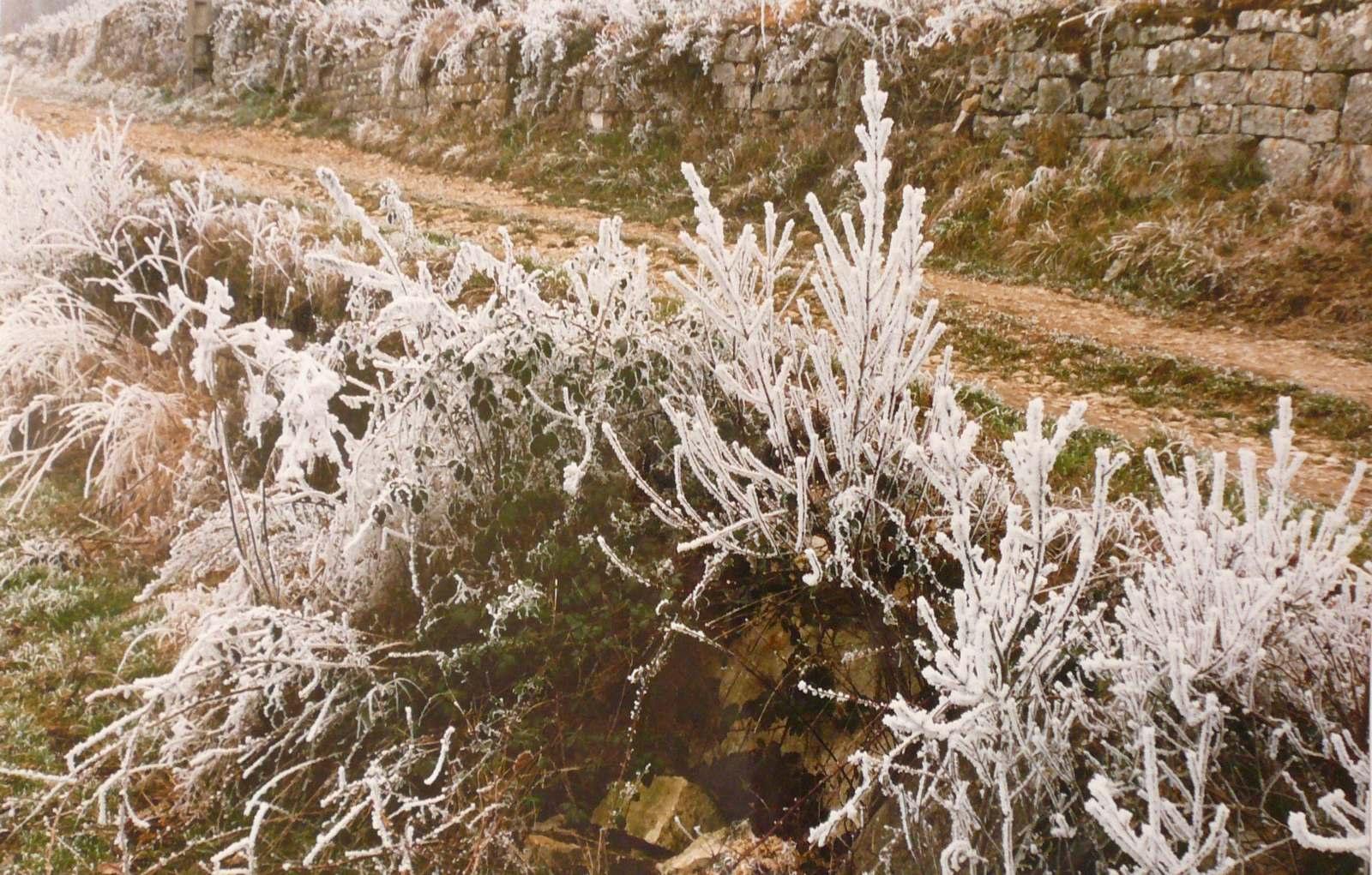 Givre au bord du chemin, Georges Stevignon