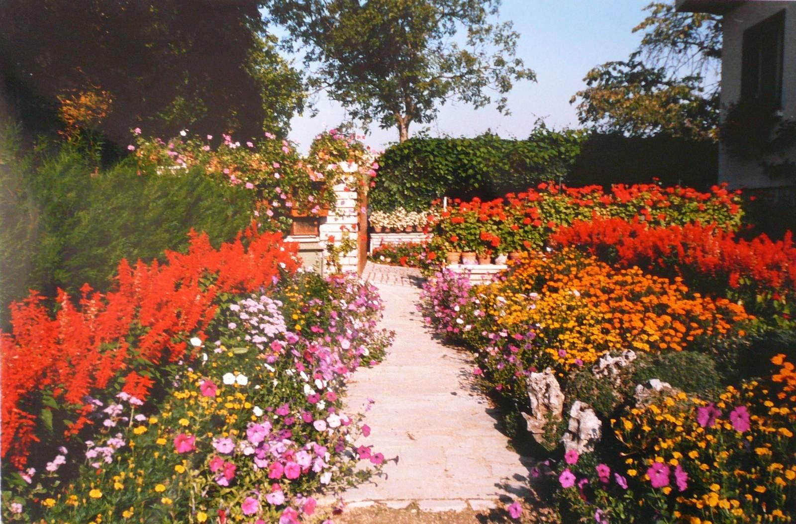 Jardin de Monsieur Vincent à Nuits-Saint-Georges, Georges Stevignon, 1988