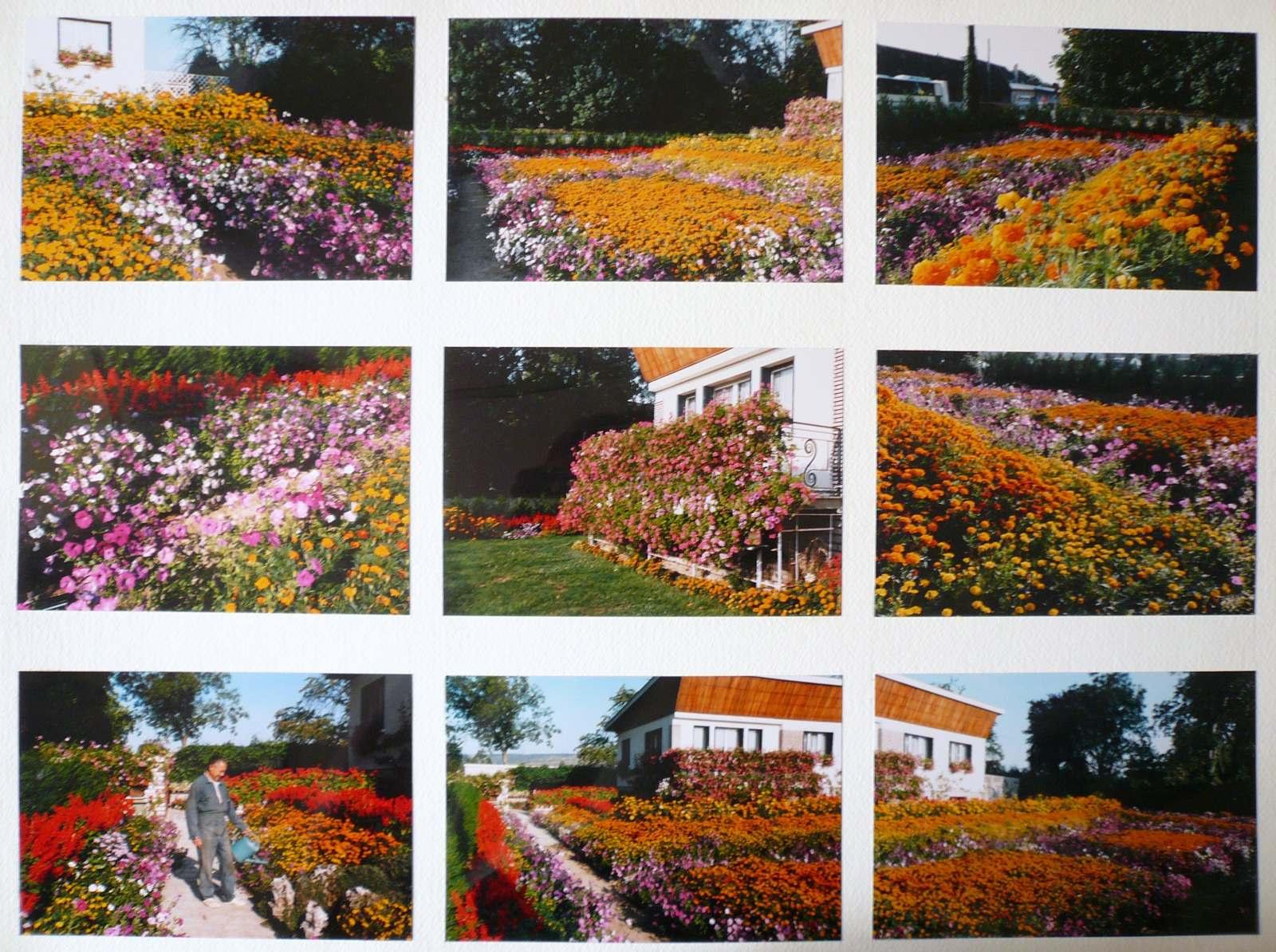 Le jardin de Monsieur Vincent, Georges Stevignon, 1988