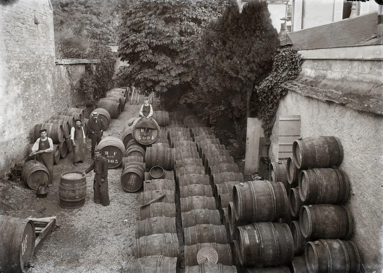 Nuits-Saint-Georges - Tonnellerie Misserey (titre usuel), Jules Misserey, 1ère moitié 20e siècle