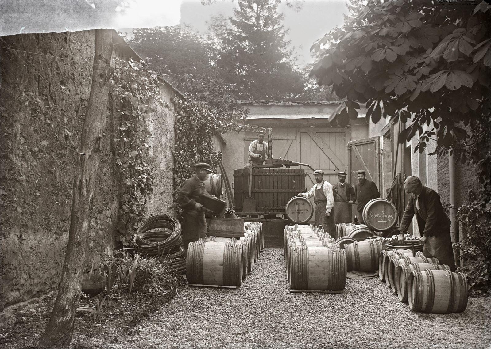 Nuits-Saint-Georges - Tonnellerie Misserey (titre usuel), Jules Misserey, 1900,1941