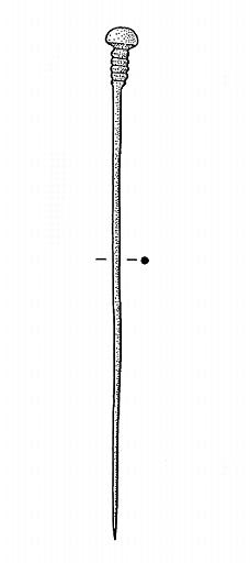 Épingle (type Binningen)_0