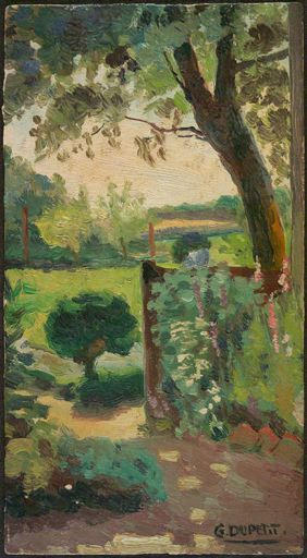 Petit coin de jardin : le Buis_0